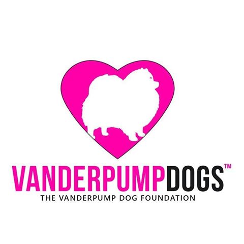 Vanderpump Dogs