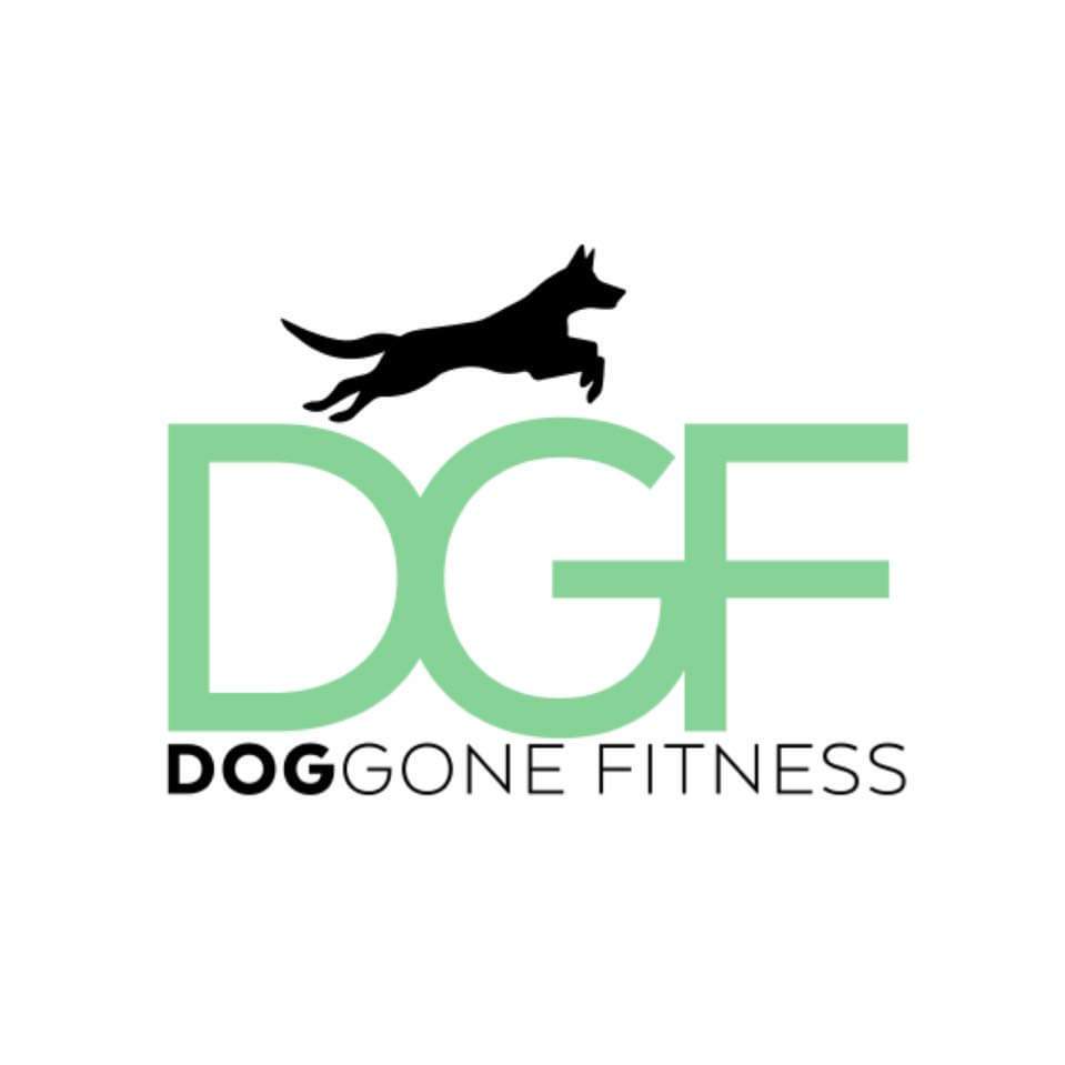 Dog Gone Fitness Los Angeles