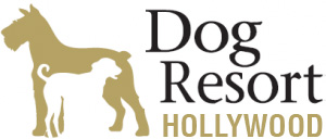 Dog Resort – Hollywood