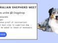 Australian Shepherd Meet Up