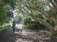 Dog Walk in South Coast Botanic!
