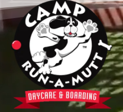 Camp Run-A-Mutt Los Angeles LAX