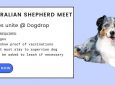 Australian Shepherd Meet Up