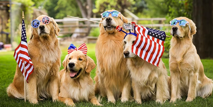 Independence Day Doggie Playdate at Pan Pacific Park