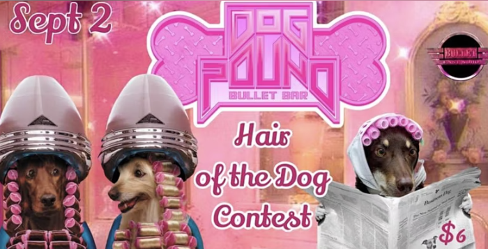 Dog Pound:Hair of the Dog