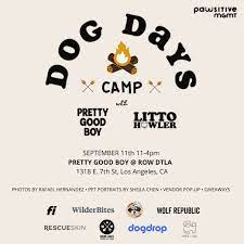 DOG DAYS CAMP
