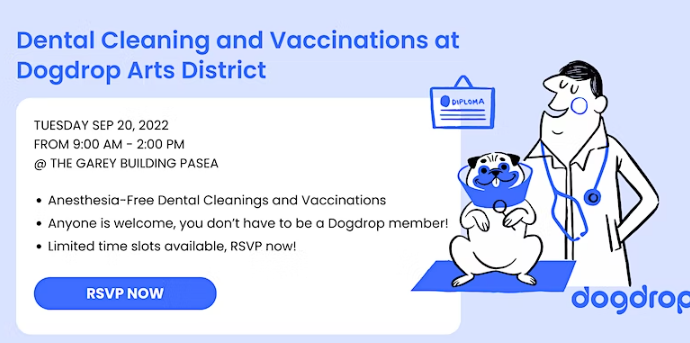 Dental Cleaning and Vaccinations at Dogdrop
