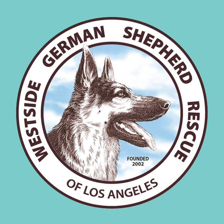 WGSR German Shepherd Adoptions – Wednesdays