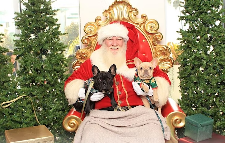Brunch With Santa Paws