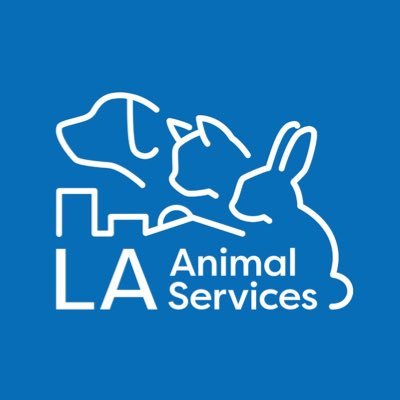 Chesterfield Square / South LA Animal Shelter