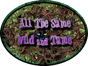 All the Same Wild and Tame