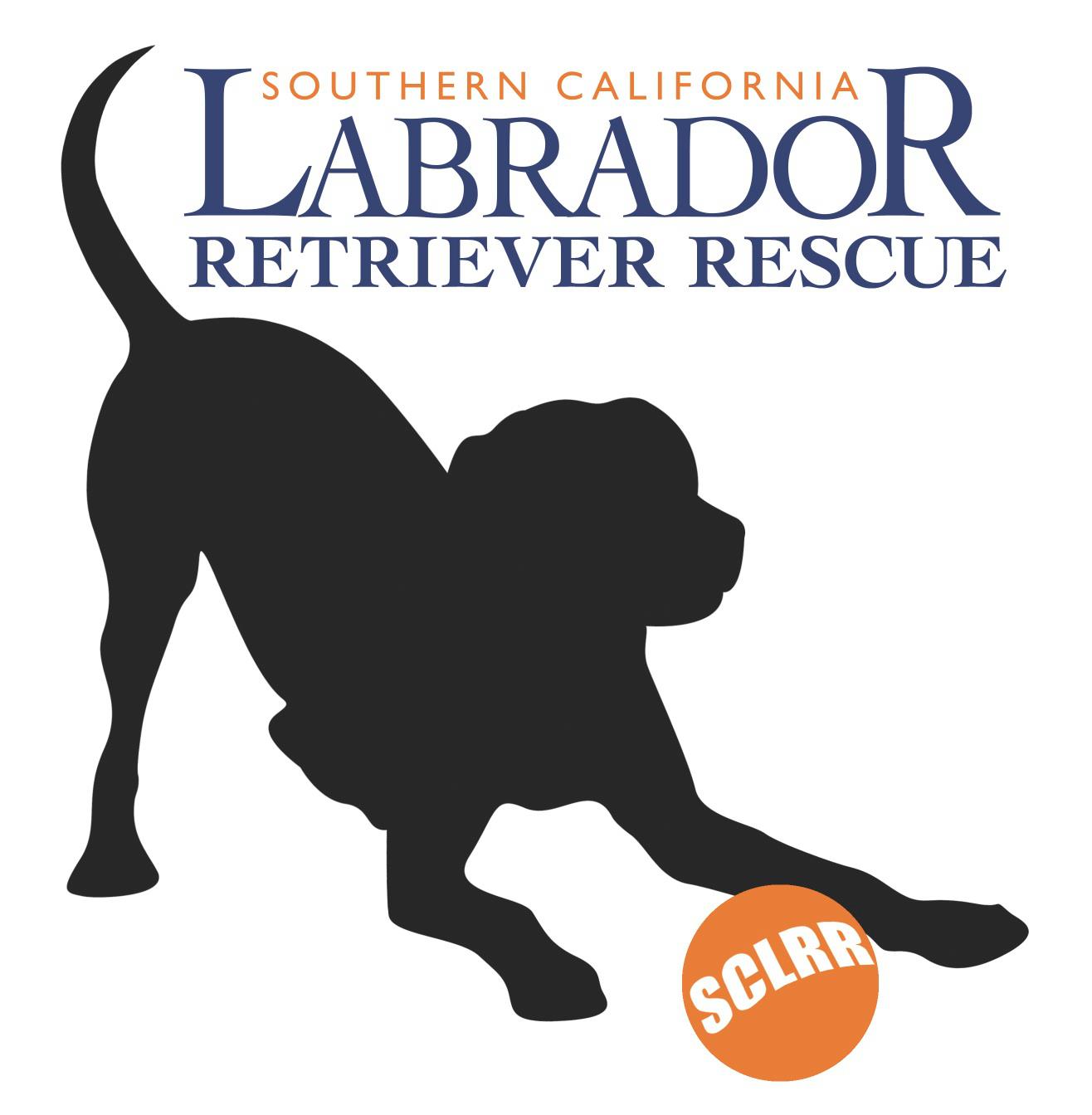 Southern California Labrador Retriever Rescue (SCLRR)