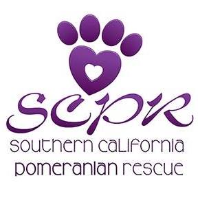 Southern California Pomeranian Rescue