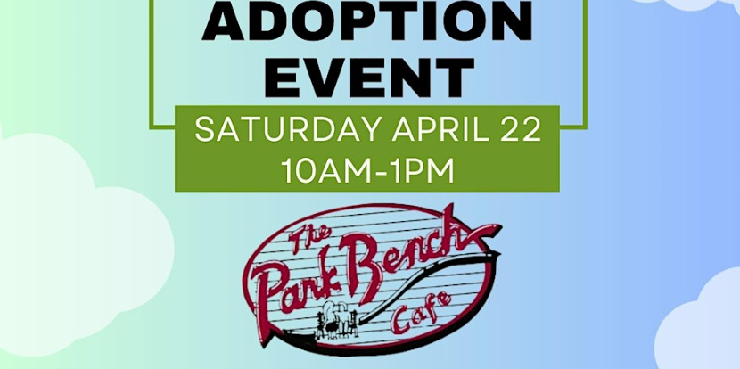 Mutts in Need Dog Adoption Event – Park Bench Cafe, Huntington Beach