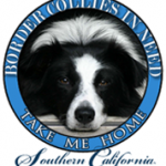 Border Collies In Need, Inc