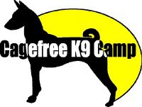 Cage Free K9 Camp