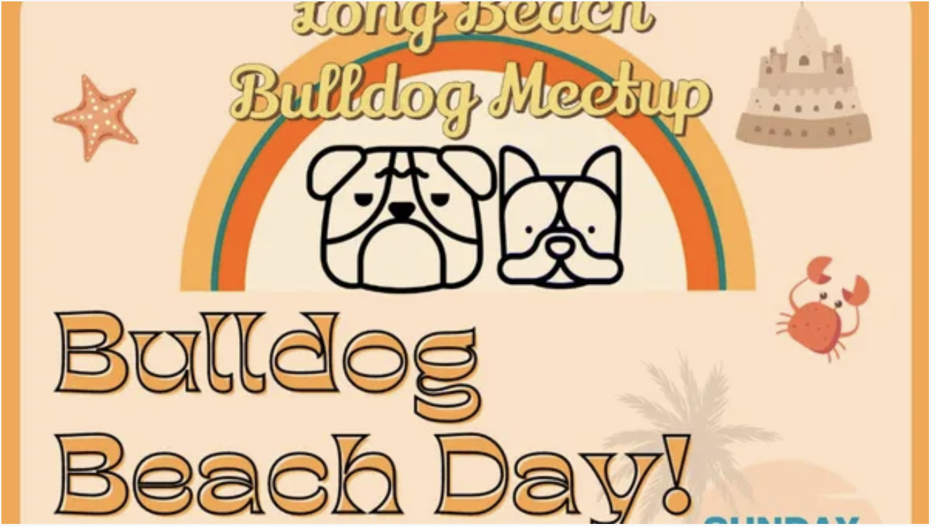 Bulldog Beach Day 2023