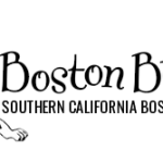 Boston Buddies, Inc