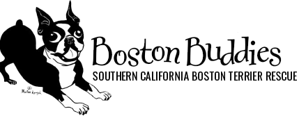 Boston Buddies, Inc