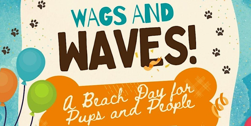 Wags and Waves – Marina Del Rey