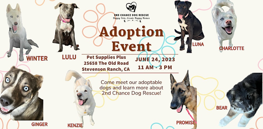 Dog Adoption Event at Pet Supplies Plus