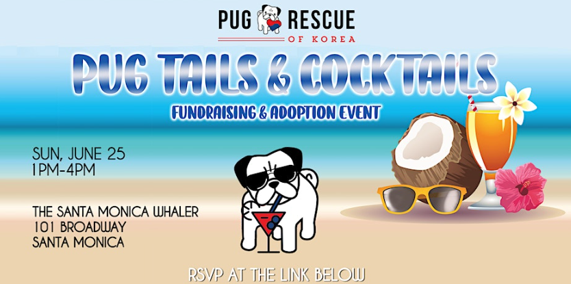 Pug Tails & Cocktails Fundraising & Adoption Event