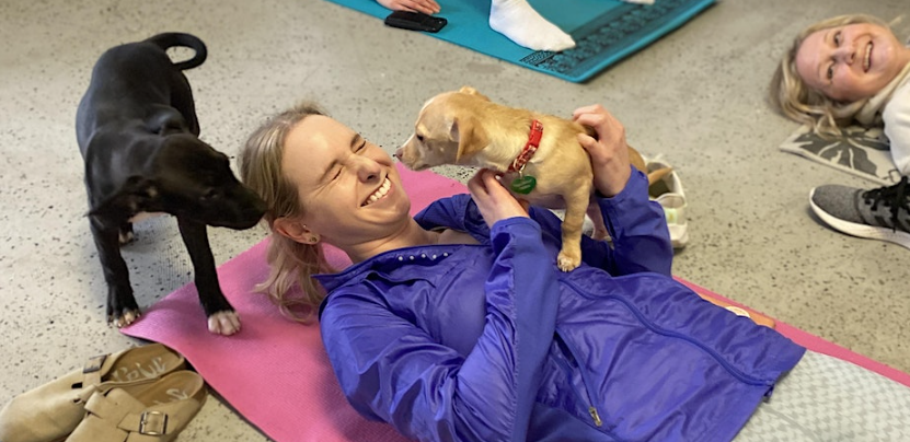 Puppy Yoga at Pups Without Borders!