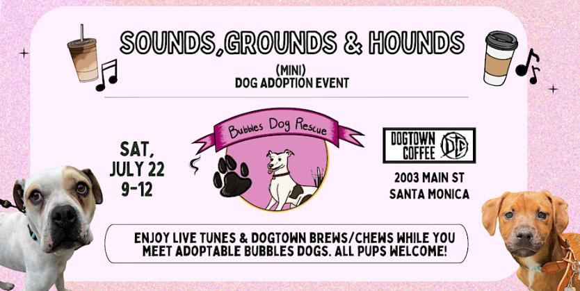 Sounds, Grounds & Hounds – Live Music + Dog Adoption Event