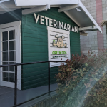 Green Dog Dental & Wellness