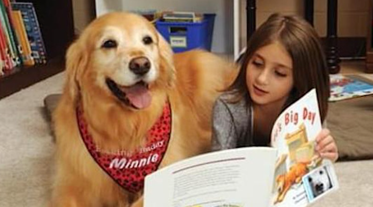 Paws to Read -Therapy Dog Reading