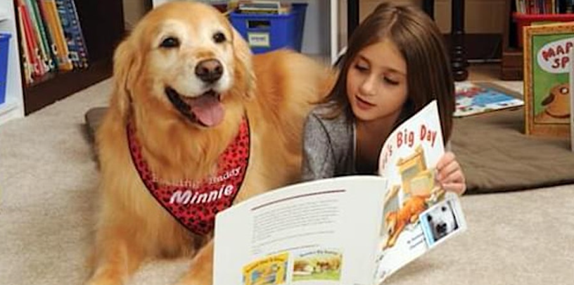 Paws to Read – Therapy Dog Reading