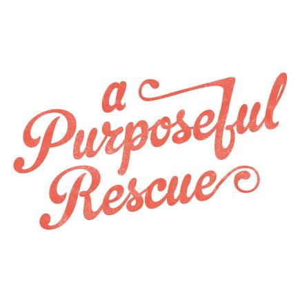 A Purposeful Rescue – ADOPTION EVENT