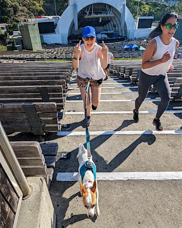 Saturday Stairs | Free Workout At The Hollywood Bowl