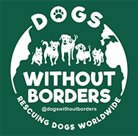 Dogs without Borders – Adoption Event