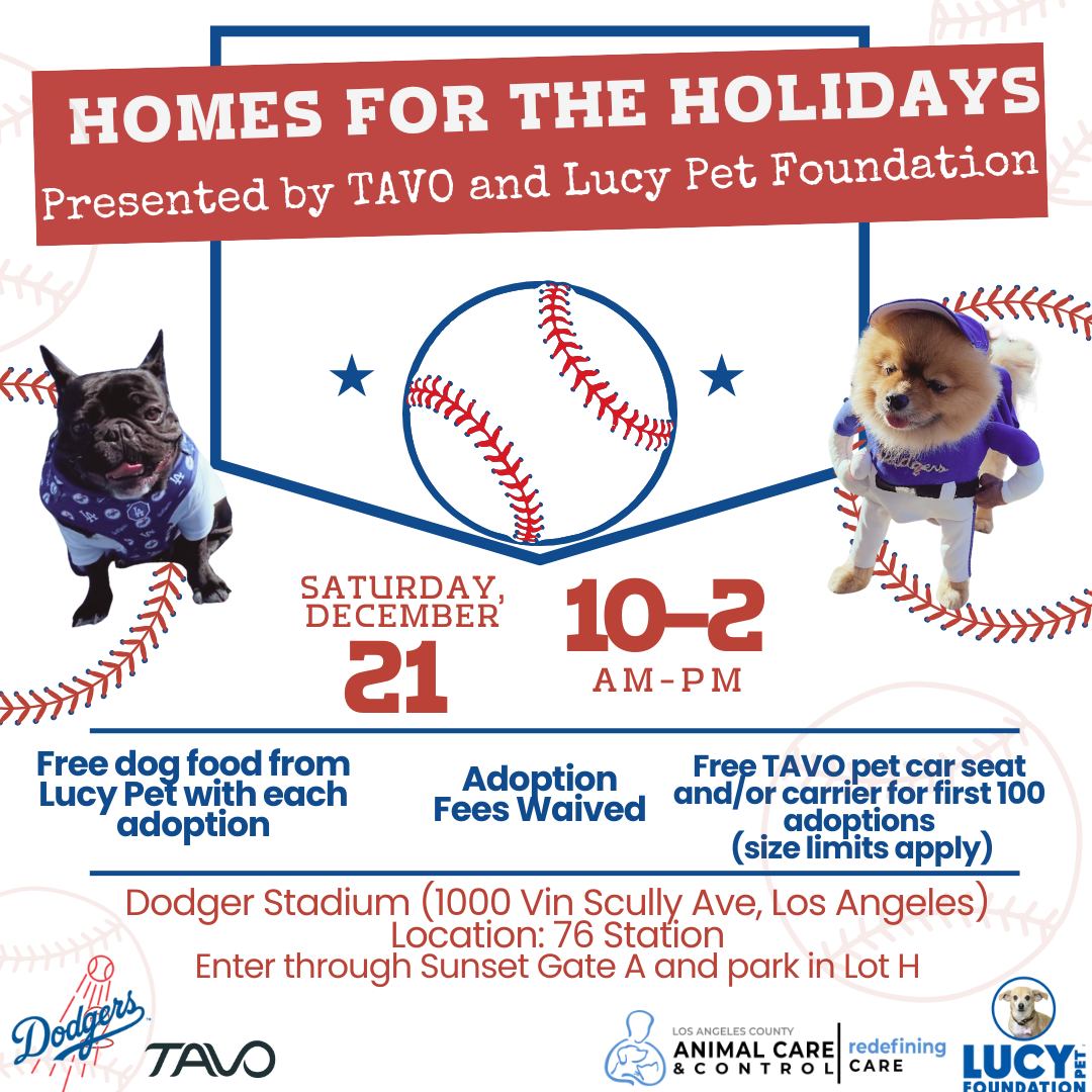 Homes for the Holidays – ADOPTION EVENT