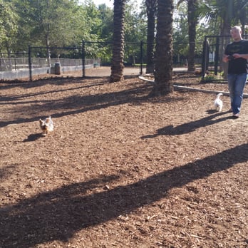 Oberrieder Dog Park – Playa Vista Dog Park