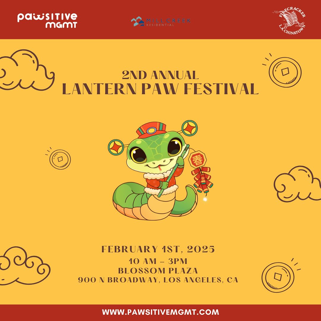 Lantern Paw Fest – POSTPONED